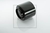 PISTON PERNA DE AER