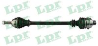 Planetara LPR, Cod: DS39041