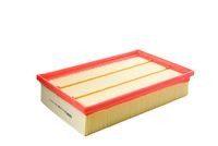 Gaisa filtrs DP1110.10.0592 Dr