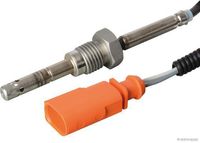 Sensor, Abgastemperatur