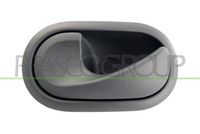 Mâner usa, echipare interioara PRASCO, Cod: DA2208612