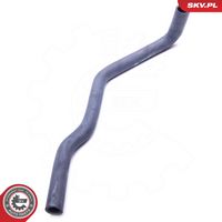 Article Picture