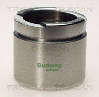 Kolben, Bremssattel