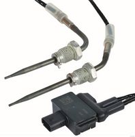 Sensor, Abgastemperatur