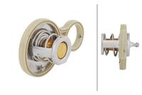 Thermostat, Kühlmittel