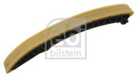 Gleitschiene, Steuerkette