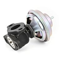 Izpl. gāzu recirkulācijas vārsts