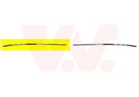 Zier-/Schutzleiste, Stoßfänger