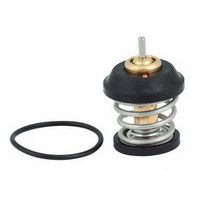 Thermostat, Kühlmittel