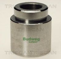 Kolben, Bremssattel
