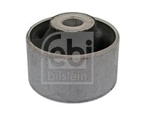 Mounting, control/trailing arm