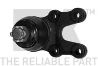 Trag-/Führungsgelenk