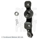 Trag-/Führungsgelenk