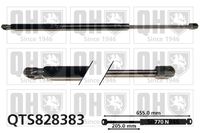 Gasfeder, Koffer-/Laderaum