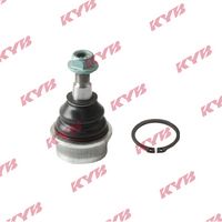 Trag-/Führungsgelenk