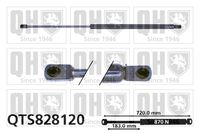 Gasfeder, Koffer-/Laderaum