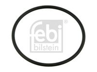 Seal Ring, steering knuckle