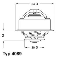 Thermostat, Kühlmittel