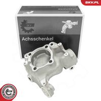 Steering Knuckle, wheel suspension