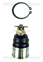 Trag-/Führungsgelenk