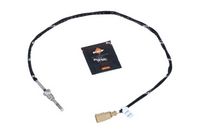 Sensor, Abgastemperatur