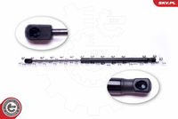 Gas Spring, boot/cargo area