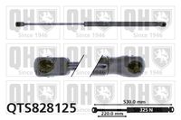 Gasfeder, Koffer-/Laderaum