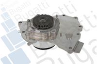 Wasserpumpe, Motorkühlung