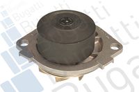 Wasserpumpe, Motorkühlung