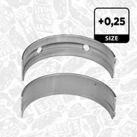 Thumbnail - Hoofdlager - LH002925 - ET ENGINETEAM