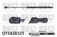 Gasfeder, Koffer-/Laderaum