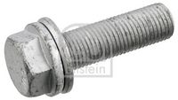 Schraube, Bremssattel