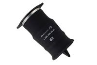 Article Picture
