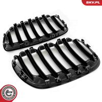 Article Picture