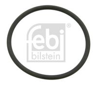 Dichtring, Achsschenkel