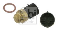 Temperature Switch, radiator fan