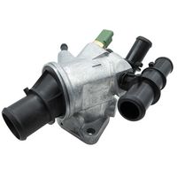 Thermostat, coolant