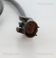 Article Picture