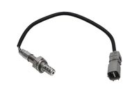 ламбда-сонда