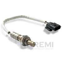 ламбда-сонда