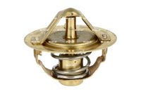 Thermostat, Kühlmittel