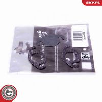 SET DE REPARAțIE SUPAPă AGR