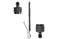 1 Artikelbild
