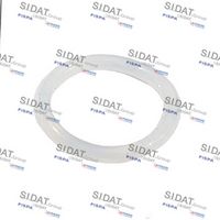 Dichtring, Abgasrohr