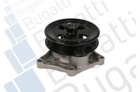 Wasserpumpe, Motorkühlung