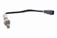 ламбда-сонда