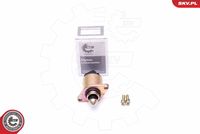 Idle Control Valve, air supply