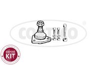 Trag-/Führungsgelenk