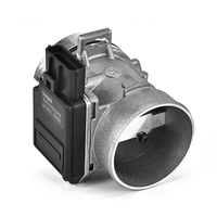 DELPHI Luchtmassameter 6