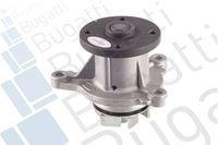 Wasserpumpe, Motorkühlung